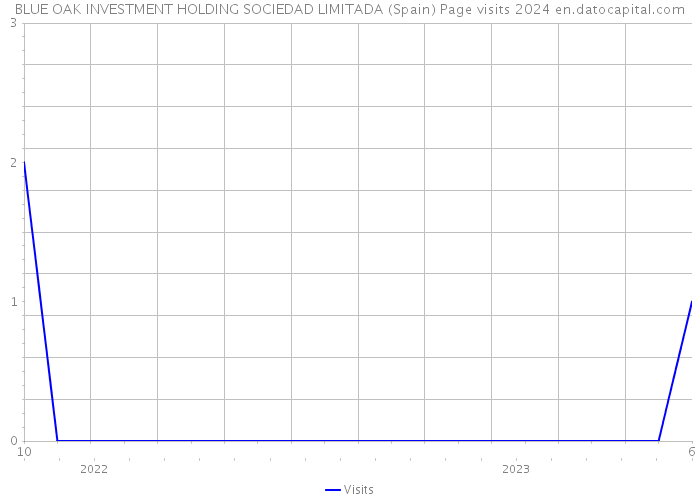 BLUE OAK INVESTMENT HOLDING SOCIEDAD LIMITADA (Spain) Page visits 2024 