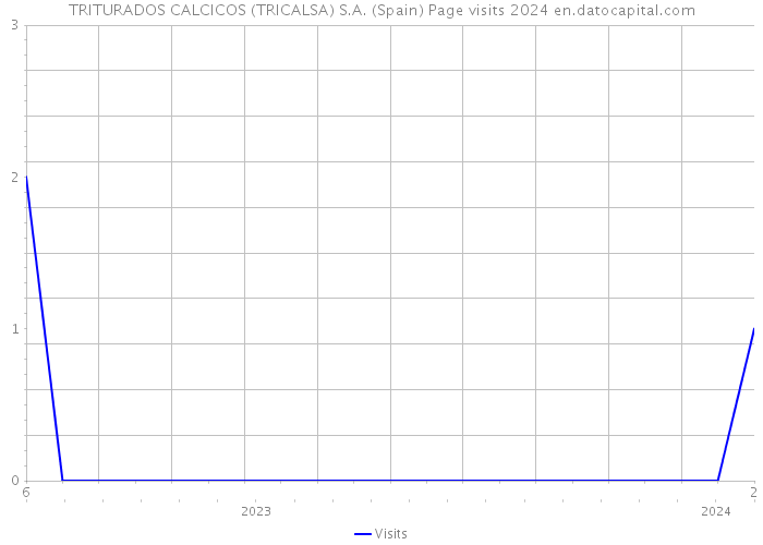 TRITURADOS CALCICOS (TRICALSA) S.A. (Spain) Page visits 2024 