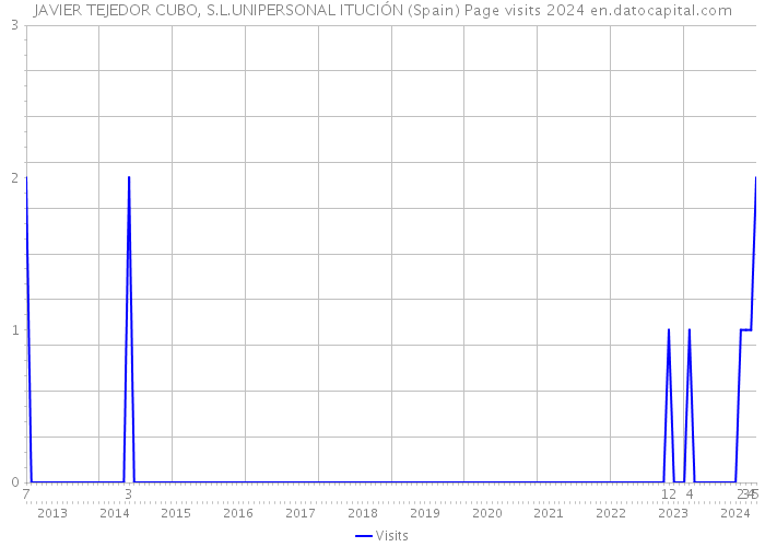 JAVIER TEJEDOR CUBO, S.L.UNIPERSONAL ITUCIÓN (Spain) Page visits 2024 