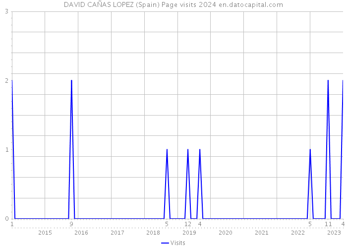 DAVID CAÑAS LOPEZ (Spain) Page visits 2024 