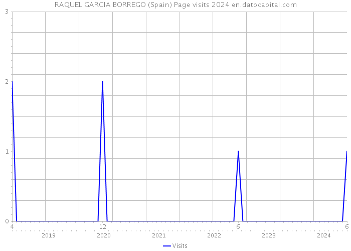 RAQUEL GARCIA BORREGO (Spain) Page visits 2024 