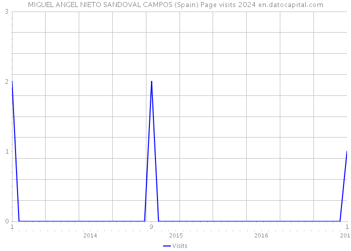 MIGUEL ANGEL NIETO SANDOVAL CAMPOS (Spain) Page visits 2024 