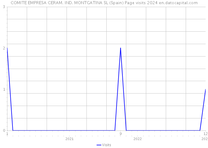 COMITE EMPRESA CERAM. IND. MONTGATINA SL (Spain) Page visits 2024 