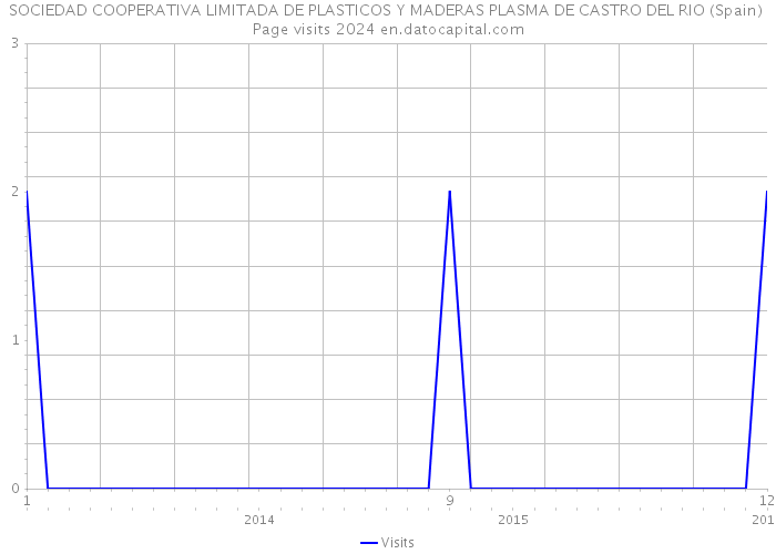 SOCIEDAD COOPERATIVA LIMITADA DE PLASTICOS Y MADERAS PLASMA DE CASTRO DEL RIO (Spain) Page visits 2024 