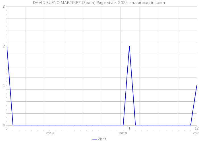 DAVID BUENO MARTINEZ (Spain) Page visits 2024 