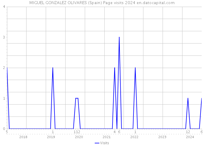 MIGUEL GONZALEZ OLIVARES (Spain) Page visits 2024 