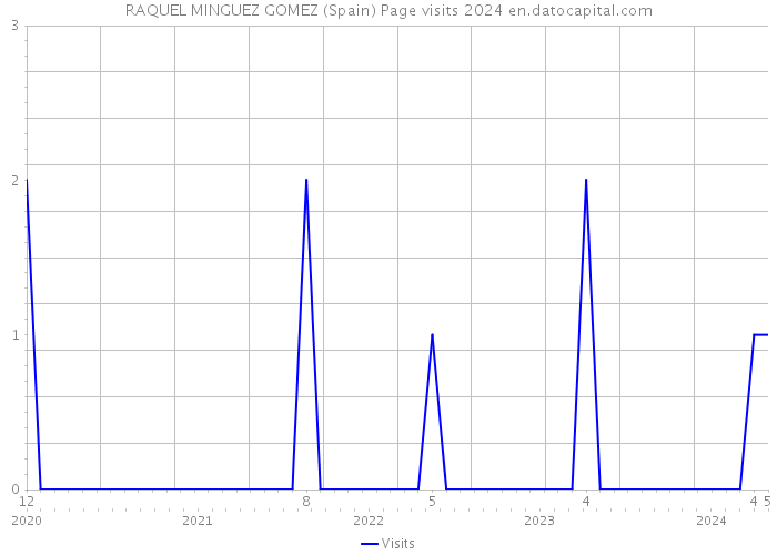 RAQUEL MINGUEZ GOMEZ (Spain) Page visits 2024 