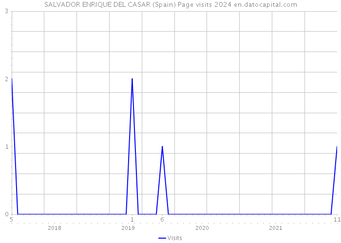 SALVADOR ENRIQUE DEL CASAR (Spain) Page visits 2024 