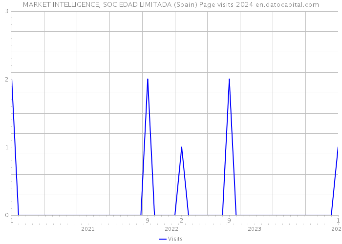 MARKET INTELLIGENCE, SOCIEDAD LIMITADA (Spain) Page visits 2024 
