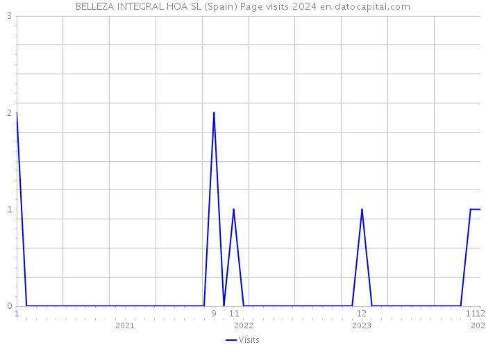 BELLEZA INTEGRAL HOA SL (Spain) Page visits 2024 