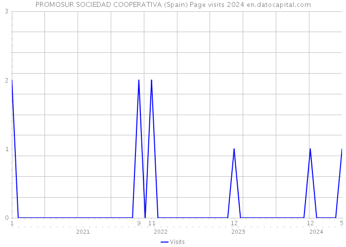 PROMOSUR SOCIEDAD COOPERATIVA (Spain) Page visits 2024 