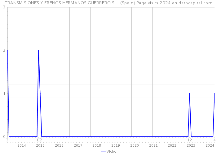 TRANSMISIONES Y FRENOS HERMANOS GUERRERO S.L. (Spain) Page visits 2024 