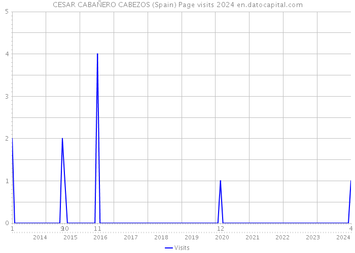 CESAR CABAÑERO CABEZOS (Spain) Page visits 2024 