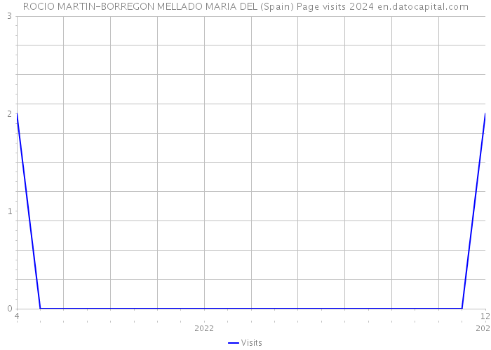 ROCIO MARTIN-BORREGON MELLADO MARIA DEL (Spain) Page visits 2024 