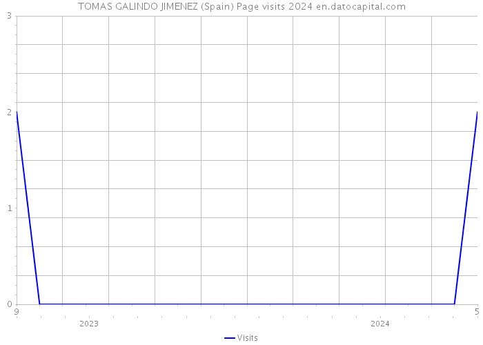 TOMAS GALINDO JIMENEZ (Spain) Page visits 2024 