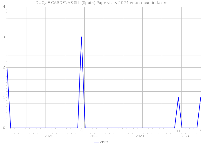 DUQUE CARDENAS SLL (Spain) Page visits 2024 
