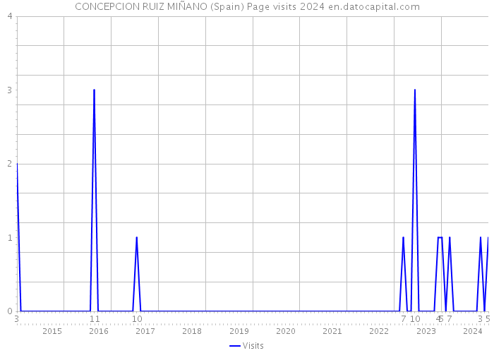 CONCEPCION RUIZ MIÑANO (Spain) Page visits 2024 