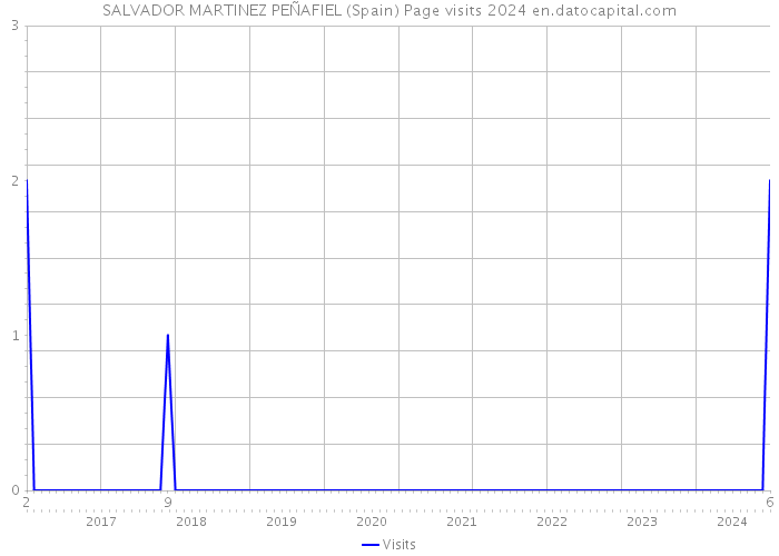 SALVADOR MARTINEZ PEÑAFIEL (Spain) Page visits 2024 