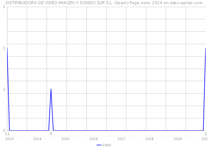 DISTRIBUIDORA DE VIDEO IMAGEN Y SONIDO SUR S.L. (Spain) Page visits 2024 