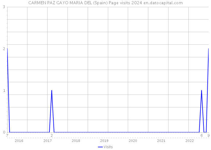 CARMEN PAZ GAYO MARIA DEL (Spain) Page visits 2024 