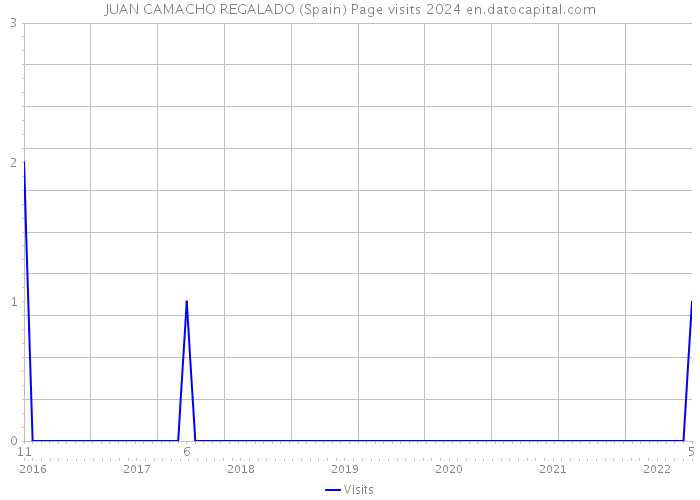 JUAN CAMACHO REGALADO (Spain) Page visits 2024 