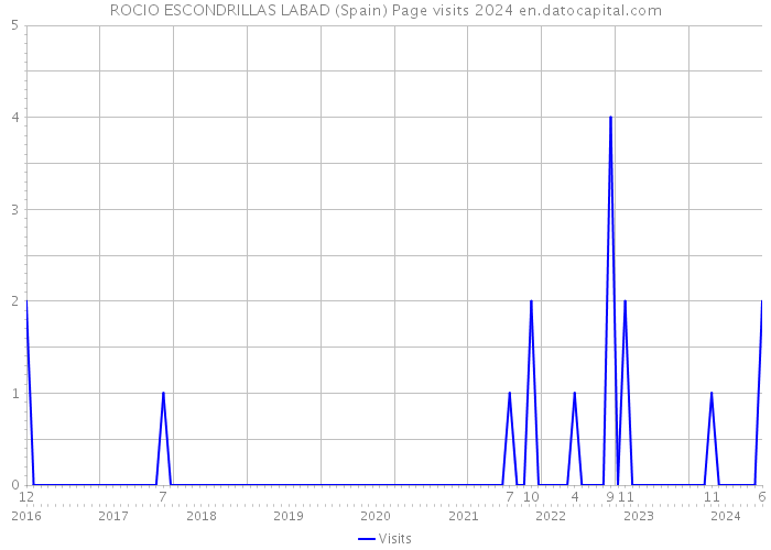 ROCIO ESCONDRILLAS LABAD (Spain) Page visits 2024 