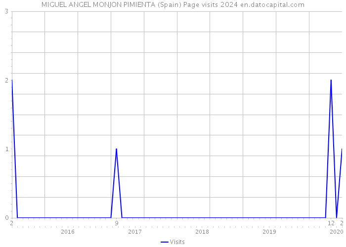 MIGUEL ANGEL MONJON PIMIENTA (Spain) Page visits 2024 