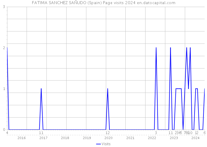 FATIMA SANCHEZ SAÑUDO (Spain) Page visits 2024 