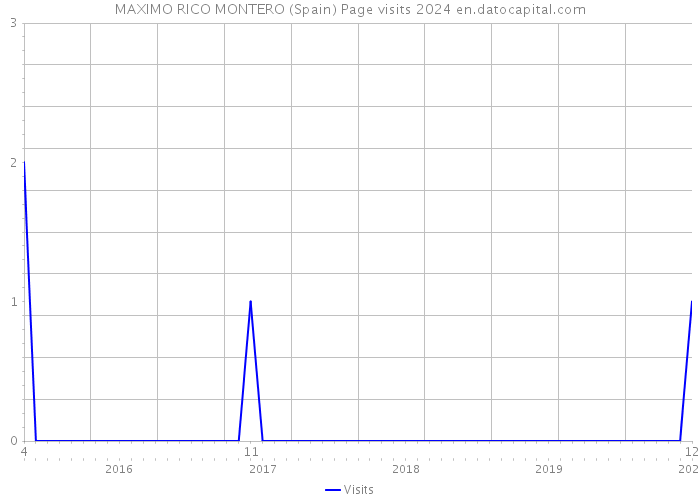 MAXIMO RICO MONTERO (Spain) Page visits 2024 