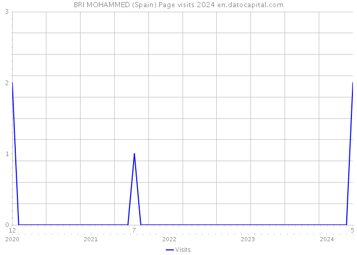 BRI MOHAMMED (Spain) Page visits 2024 