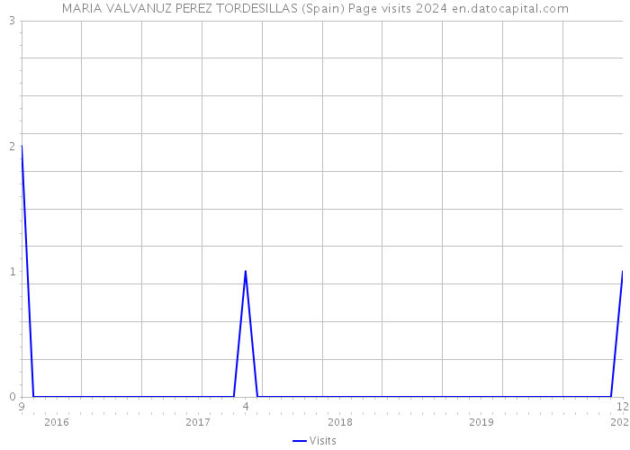 MARIA VALVANUZ PEREZ TORDESILLAS (Spain) Page visits 2024 