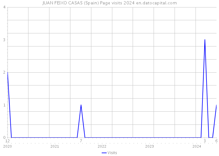 JUAN FEIXO CASAS (Spain) Page visits 2024 