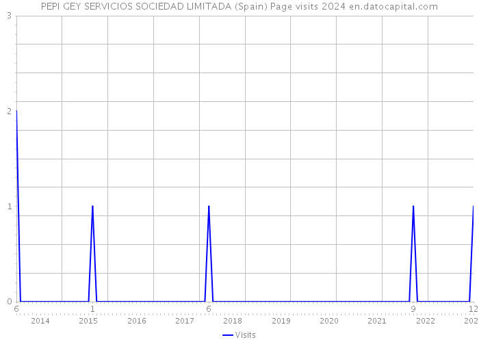 PEPI GEY SERVICIOS SOCIEDAD LIMITADA (Spain) Page visits 2024 