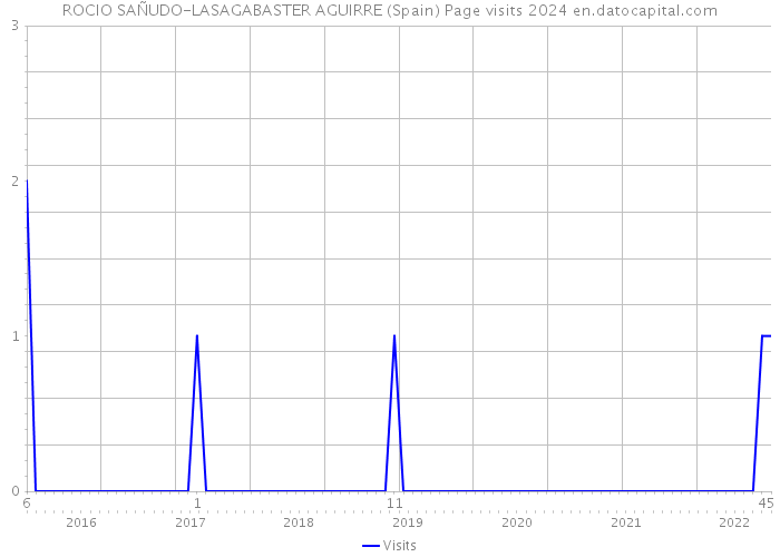 ROCIO SAÑUDO-LASAGABASTER AGUIRRE (Spain) Page visits 2024 