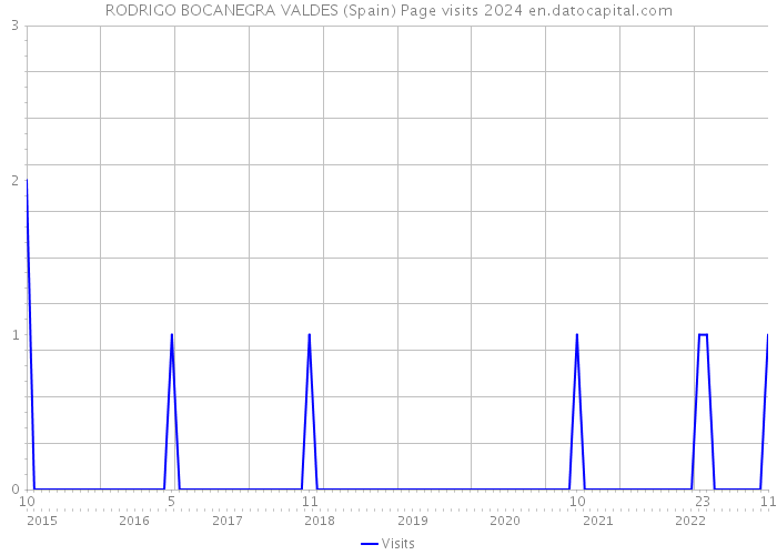 RODRIGO BOCANEGRA VALDES (Spain) Page visits 2024 