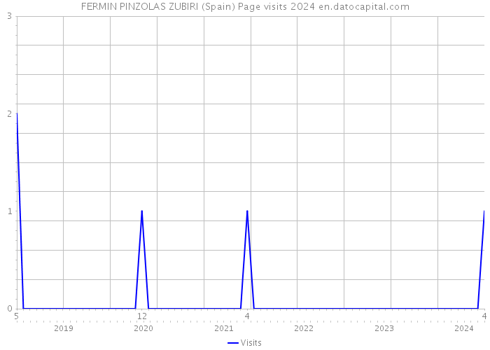 FERMIN PINZOLAS ZUBIRI (Spain) Page visits 2024 
