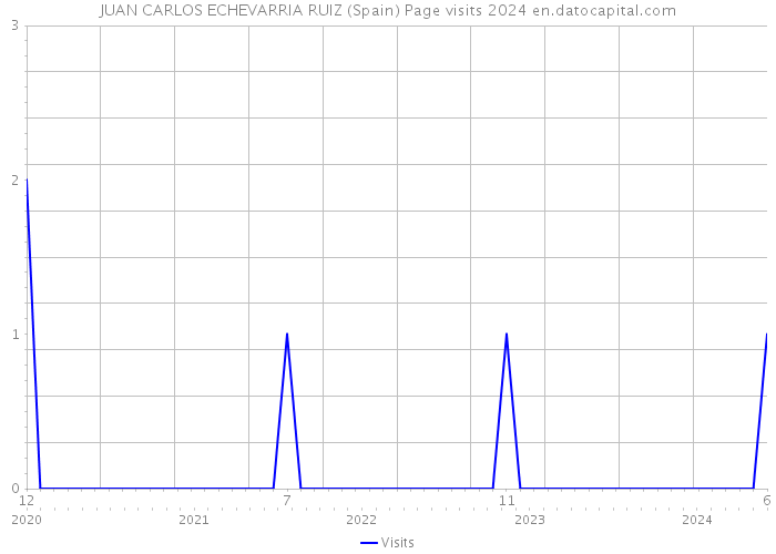 JUAN CARLOS ECHEVARRIA RUIZ (Spain) Page visits 2024 