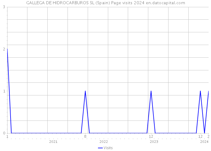 GALLEGA DE HIDROCARBUROS SL (Spain) Page visits 2024 