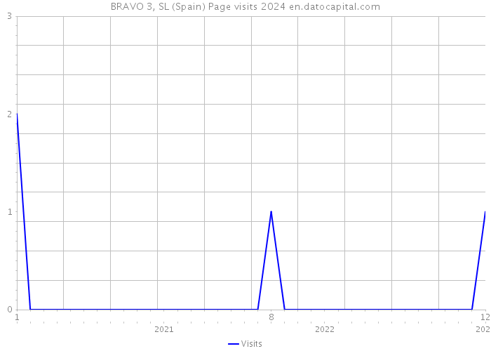 BRAVO 3, SL (Spain) Page visits 2024 