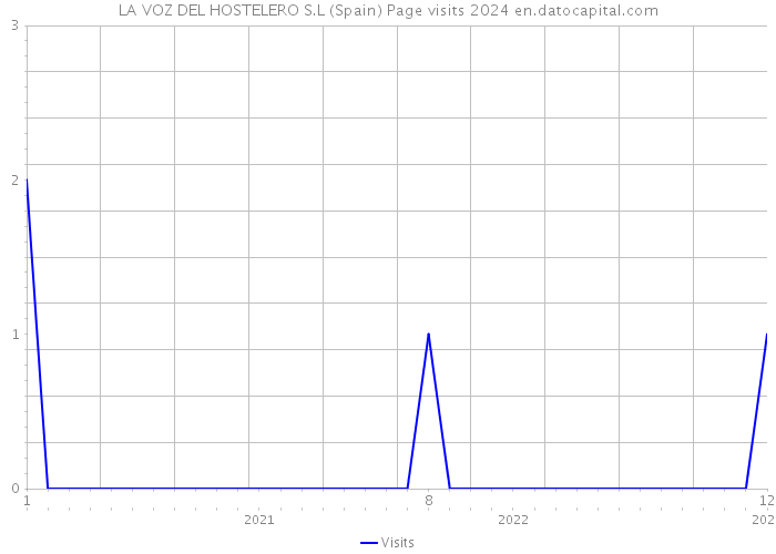 LA VOZ DEL HOSTELERO S.L (Spain) Page visits 2024 
