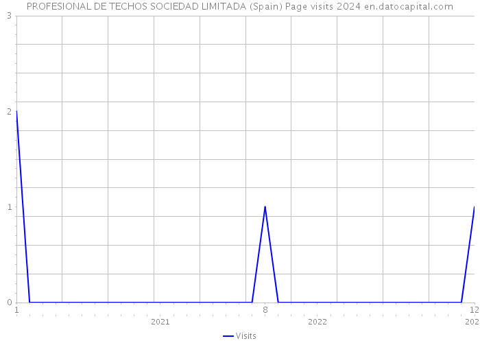 PROFESIONAL DE TECHOS SOCIEDAD LIMITADA (Spain) Page visits 2024 