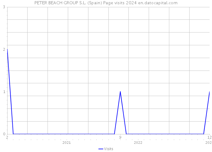 PETER BEACH GROUP S.L. (Spain) Page visits 2024 