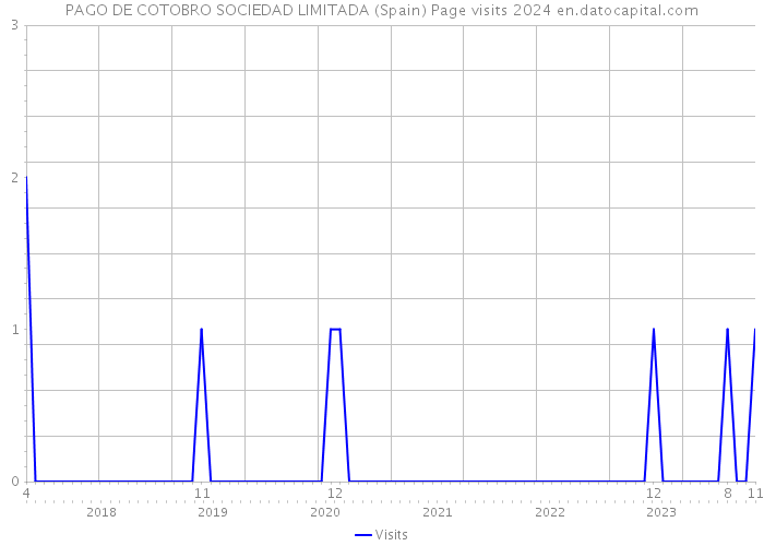 PAGO DE COTOBRO SOCIEDAD LIMITADA (Spain) Page visits 2024 