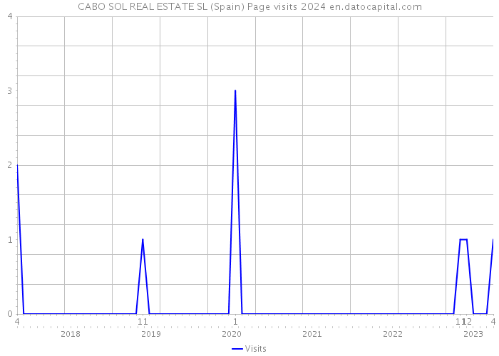 CABO SOL REAL ESTATE SL (Spain) Page visits 2024 