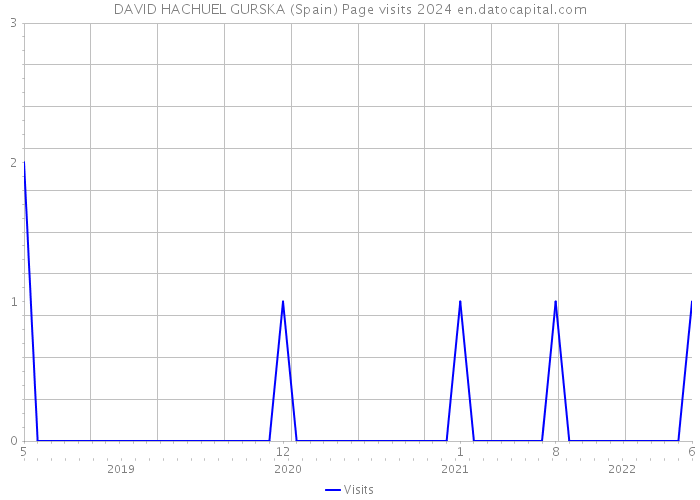DAVID HACHUEL GURSKA (Spain) Page visits 2024 