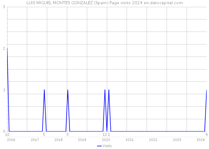 LUIS MIGUEL MONTES GONZALEZ (Spain) Page visits 2024 