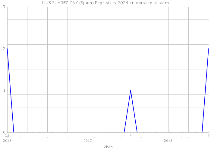 LUIS SUAREZ GAY (Spain) Page visits 2024 