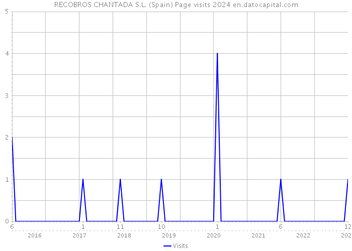 RECOBROS CHANTADA S.L. (Spain) Page visits 2024 