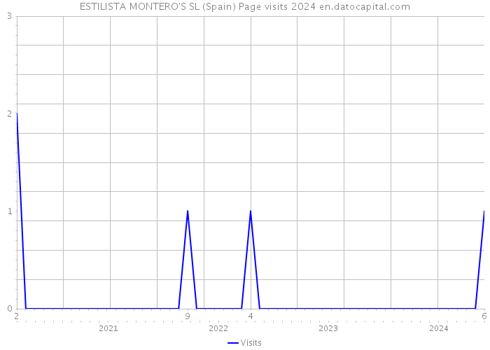 ESTILISTA MONTERO'S SL (Spain) Page visits 2024 