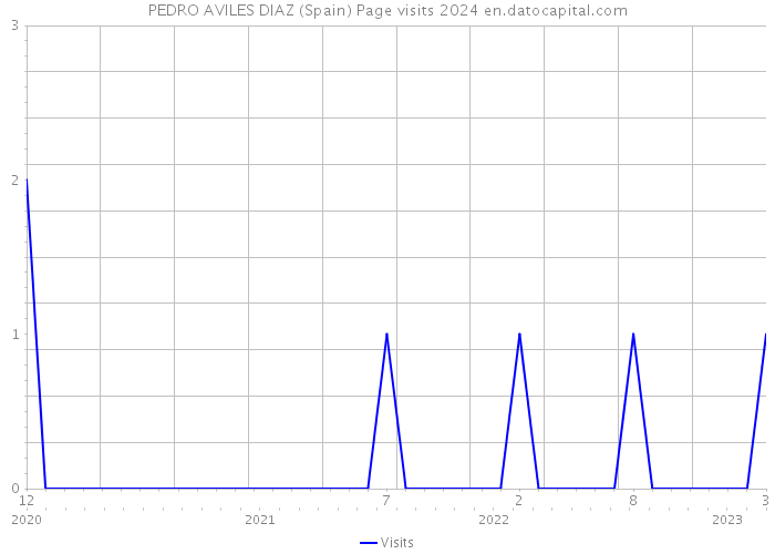 PEDRO AVILES DIAZ (Spain) Page visits 2024 